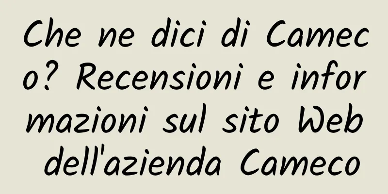 Che ne dici di Cameco? Recensioni e informazioni sul sito Web dell'azienda Cameco