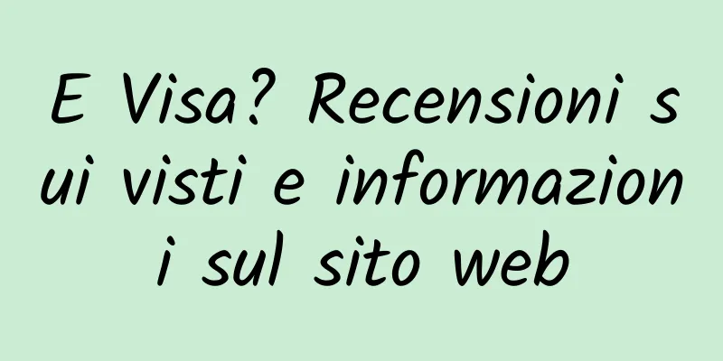 E Visa? Recensioni sui visti e informazioni sul sito web