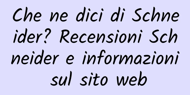 Che ne dici di Schneider? Recensioni Schneider e informazioni sul sito web