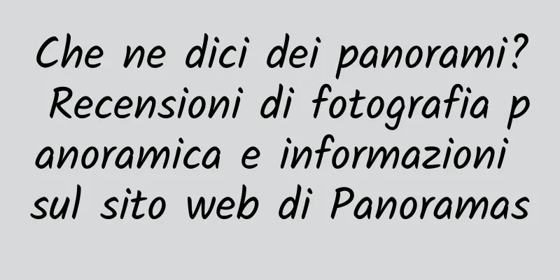Che ne dici dei panorami? Recensioni di fotografia panoramica e informazioni sul sito web di Panoramas