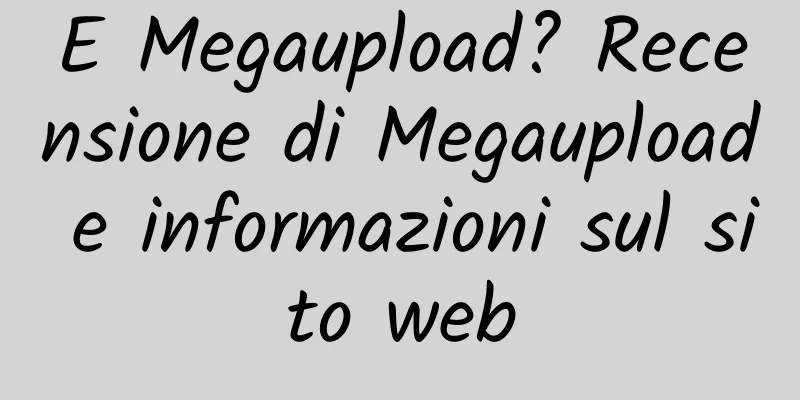 E Megaupload? Recensione di Megaupload e informazioni sul sito web