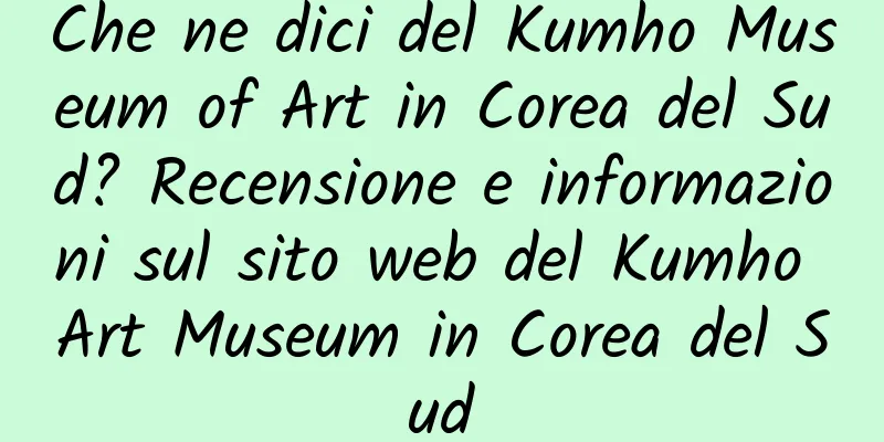 Che ne dici del Kumho Museum of Art in Corea del Sud? Recensione e informazioni sul sito web del Kumho Art Museum in Corea del Sud