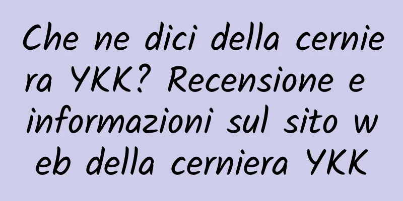 Che ne dici della cerniera YKK? Recensione e informazioni sul sito web della cerniera YKK