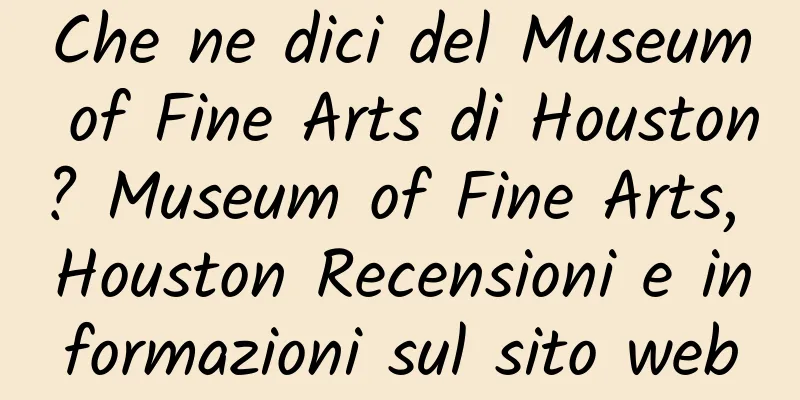 Che ne dici del Museum of Fine Arts di Houston? Museum of Fine Arts, Houston Recensioni e informazioni sul sito web