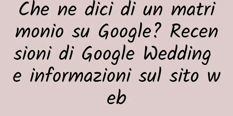 Che ne dici di un matrimonio su Google? Recensioni di Google Wedding e informazioni sul sito web