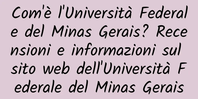 Com'è l'Università Federale del Minas Gerais? Recensioni e informazioni sul sito web dell'Università Federale del Minas Gerais