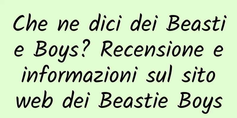 Che ne dici dei Beastie Boys? Recensione e informazioni sul sito web dei Beastie Boys