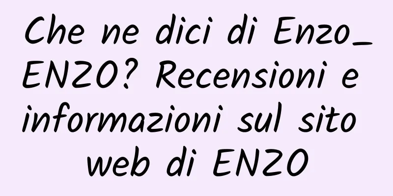 Che ne dici di Enzo_ENZO? Recensioni e informazioni sul sito web di ENZO