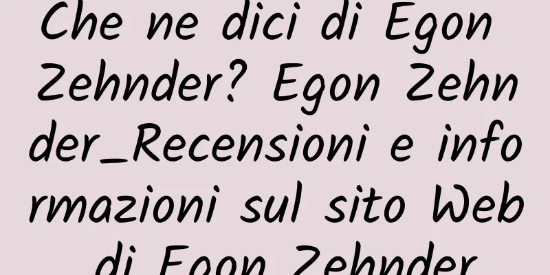 Che ne dici di Egon Zehnder? Egon Zehnder_Recensioni e informazioni sul sito Web di Egon Zehnder