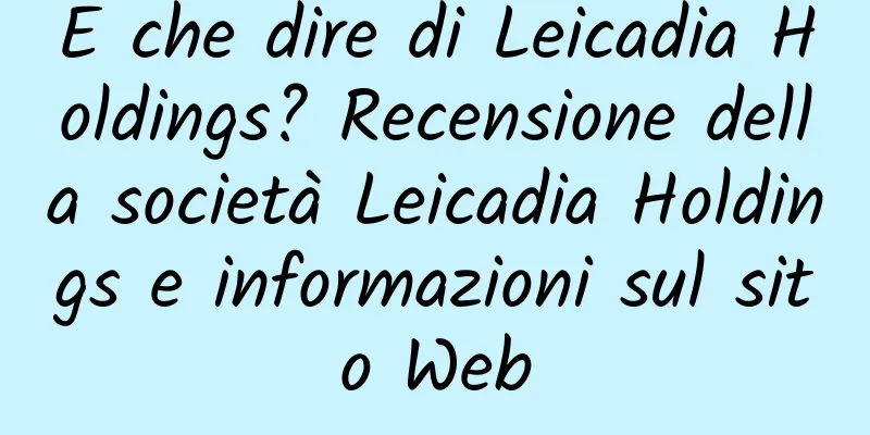 E che dire di Leicadia Holdings? Recensione della società Leicadia Holdings e informazioni sul sito Web