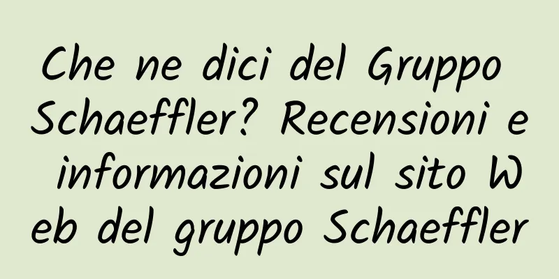 Che ne dici del Gruppo Schaeffler? Recensioni e informazioni sul sito Web del gruppo Schaeffler