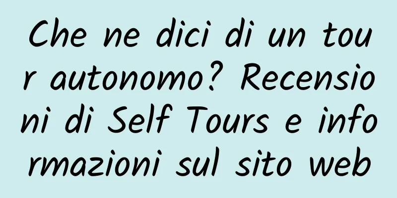 Che ne dici di un tour autonomo? Recensioni di Self Tours e informazioni sul sito web