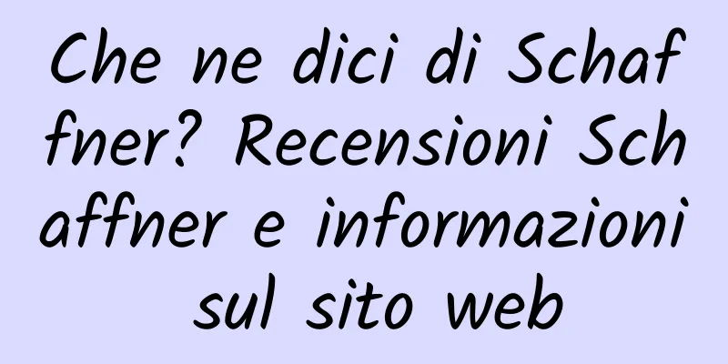 Che ne dici di Schaffner? Recensioni Schaffner e informazioni sul sito web