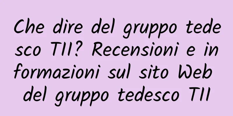 Che dire del gruppo tedesco TII? Recensioni e informazioni sul sito Web del gruppo tedesco TII