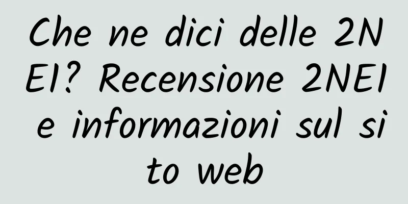Che ne dici delle 2NE1? Recensione 2NE1 e informazioni sul sito web