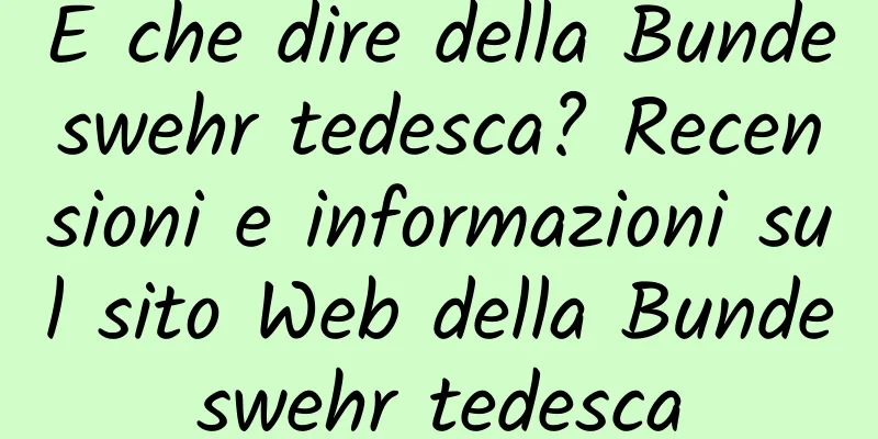 E che dire della Bundeswehr tedesca? Recensioni e informazioni sul sito Web della Bundeswehr tedesca