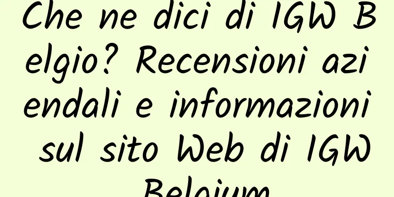 Che ne dici di IGW Belgio? Recensioni aziendali e informazioni sul sito Web di IGW Belgium