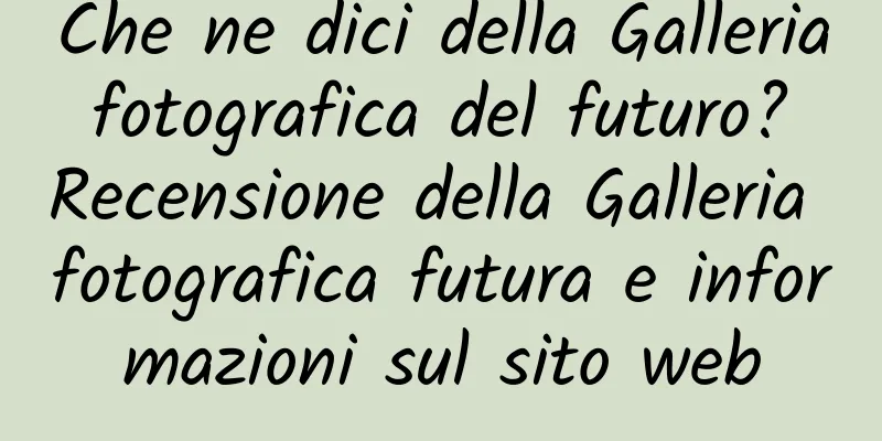 Che ne dici della Galleria fotografica del futuro? Recensione della Galleria fotografica futura e informazioni sul sito web