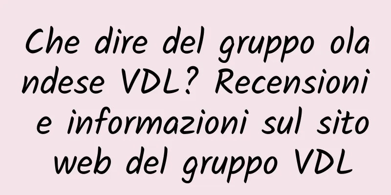 Che dire del gruppo olandese VDL? Recensioni e informazioni sul sito web del gruppo VDL