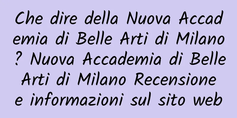 Che dire della Nuova Accademia di Belle Arti di Milano? Nuova Accademia di Belle Arti di Milano Recensione e informazioni sul sito web
