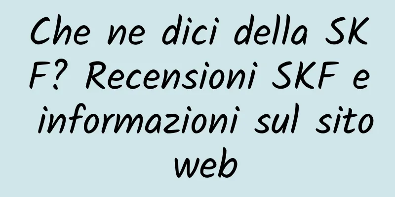 Che ne dici della SKF? Recensioni SKF e informazioni sul sito web