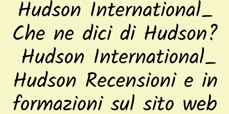 Hudson International_Che ne dici di Hudson? Hudson International_Hudson Recensioni e informazioni sul sito web