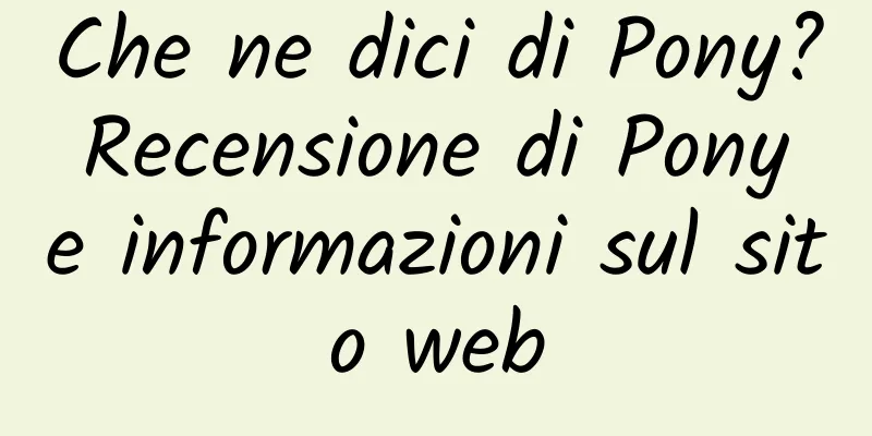Che ne dici di Pony? Recensione di Pony e informazioni sul sito web