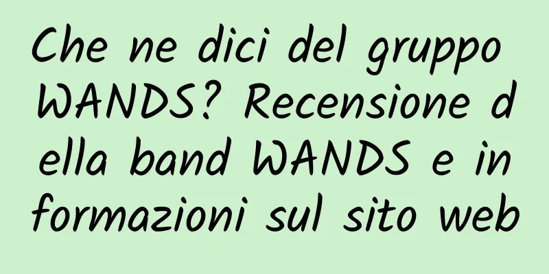 Che ne dici del gruppo WANDS? Recensione della band WANDS e informazioni sul sito web