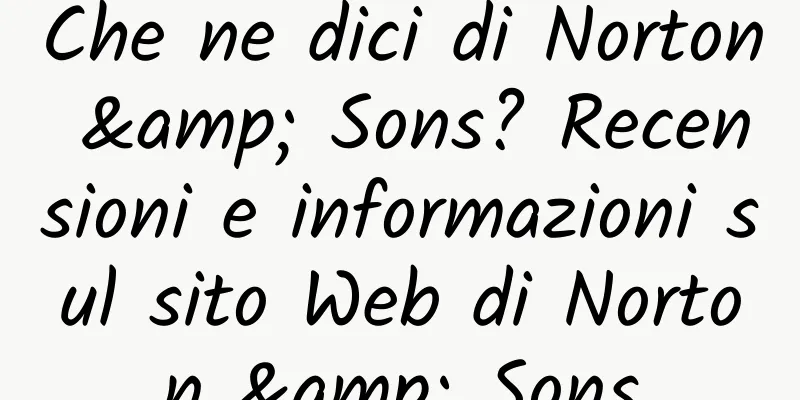 Che ne dici di Norton & Sons? Recensioni e informazioni sul sito Web di Norton & Sons