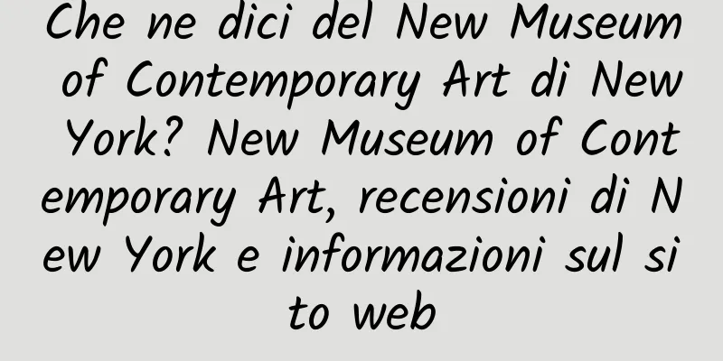 Che ne dici del New Museum of Contemporary Art di New York? New Museum of Contemporary Art, recensioni di New York e informazioni sul sito web