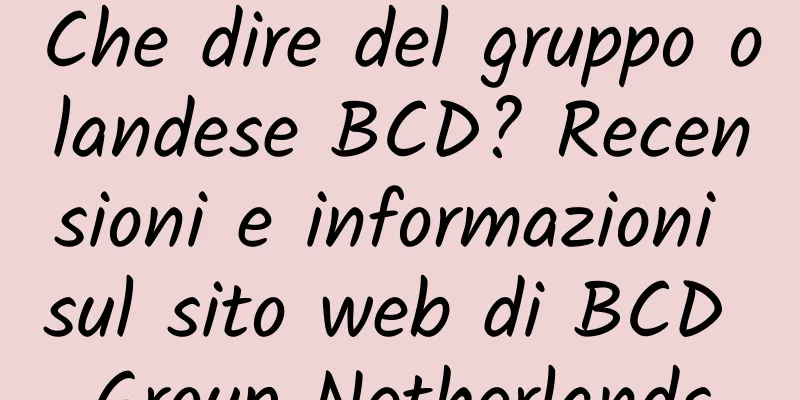 Che dire del gruppo olandese BCD? Recensioni e informazioni sul sito web di BCD Group Netherlands