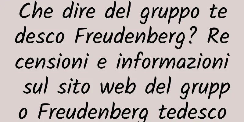 Che dire del gruppo tedesco Freudenberg? Recensioni e informazioni sul sito web del gruppo Freudenberg tedesco