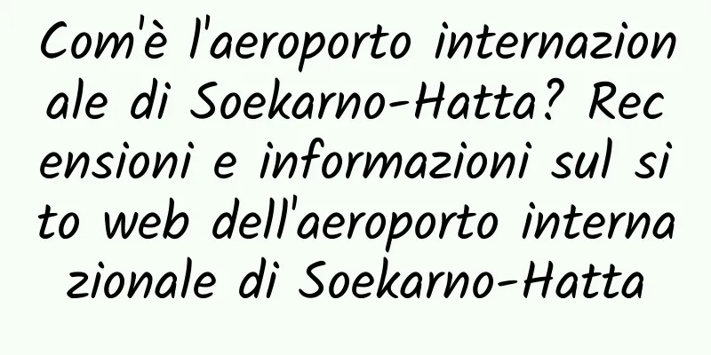 Com'è l'aeroporto internazionale di Soekarno-Hatta? Recensioni e informazioni sul sito web dell'aeroporto internazionale di Soekarno-Hatta