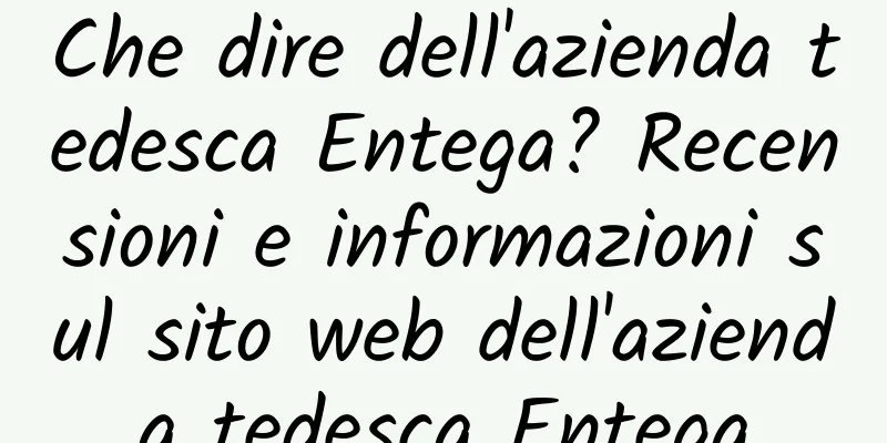 Che dire dell'azienda tedesca Entega? Recensioni e informazioni sul sito web dell'azienda tedesca Entega