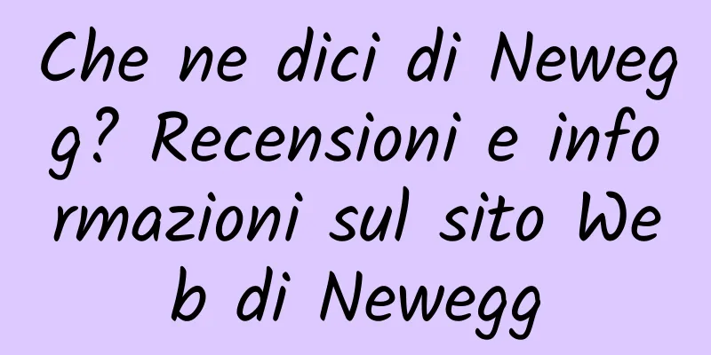 Che ne dici di Newegg? Recensioni e informazioni sul sito Web di Newegg