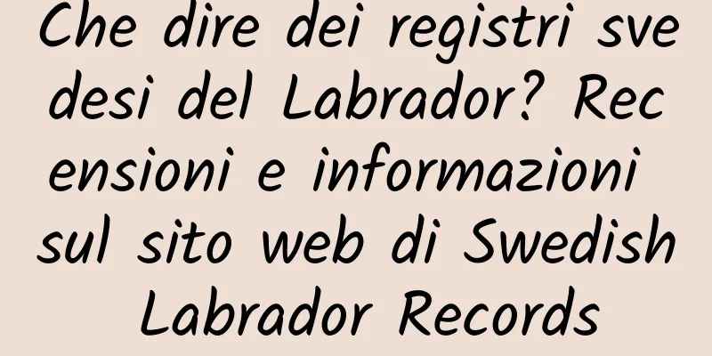 Che dire dei registri svedesi del Labrador? Recensioni e informazioni sul sito web di Swedish Labrador Records