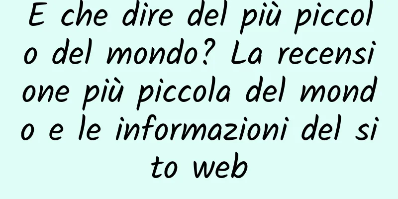 E che dire del più piccolo del mondo? La recensione più piccola del mondo e le informazioni del sito web