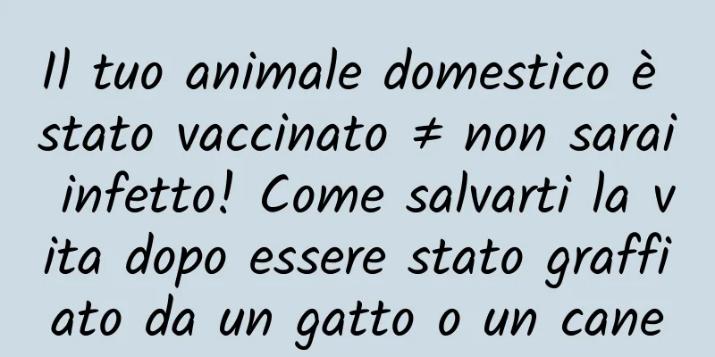 Il tuo animale domestico è stato vaccinato ≠ non sarai infetto! Come salvarti la vita dopo essere stato graffiato da un gatto o un cane