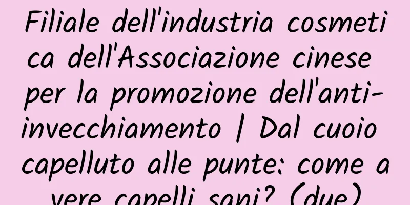 Filiale dell'industria cosmetica dell'Associazione cinese per la promozione dell'anti-invecchiamento | Dal cuoio capelluto alle punte: come avere capelli sani? (due)