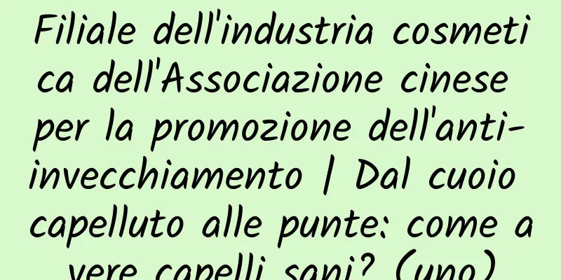 Filiale dell'industria cosmetica dell'Associazione cinese per la promozione dell'anti-invecchiamento | Dal cuoio capelluto alle punte: come avere capelli sani? (uno)