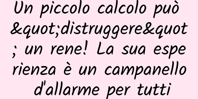 Un piccolo calcolo può "distruggere" un rene! La sua esperienza è un campanello d'allarme per tutti