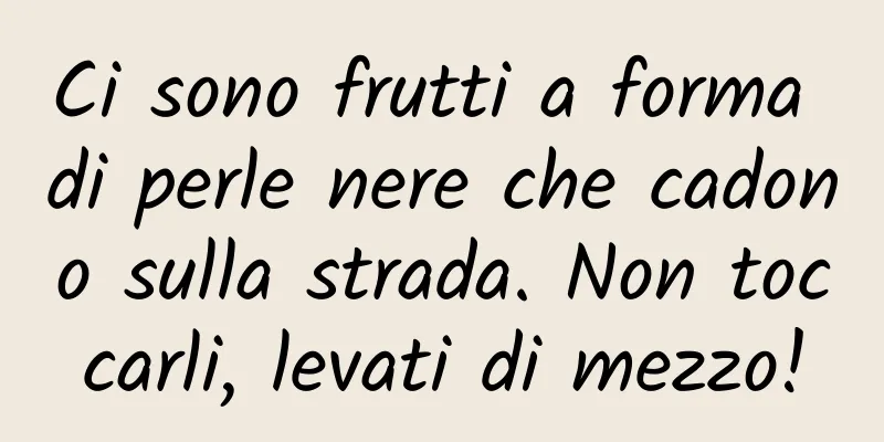 Ci sono frutti a forma di perle nere che cadono sulla strada. Non toccarli, levati di mezzo!