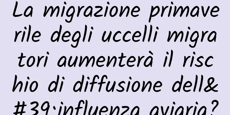 La migrazione primaverile degli uccelli migratori aumenterà il rischio di diffusione dell'influenza aviaria?