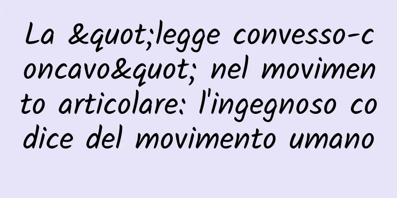 La "legge convesso-concavo" nel movimento articolare: l'ingegnoso codice del movimento umano