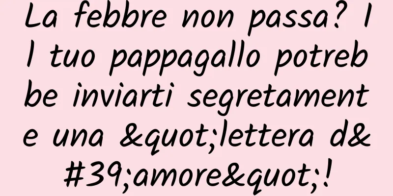La febbre non passa? Il tuo pappagallo potrebbe inviarti segretamente una "lettera d'amore"!