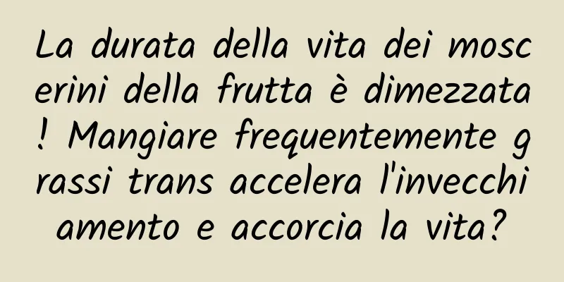 La durata della vita dei moscerini della frutta è dimezzata! Mangiare frequentemente grassi trans accelera l'invecchiamento e accorcia la vita?