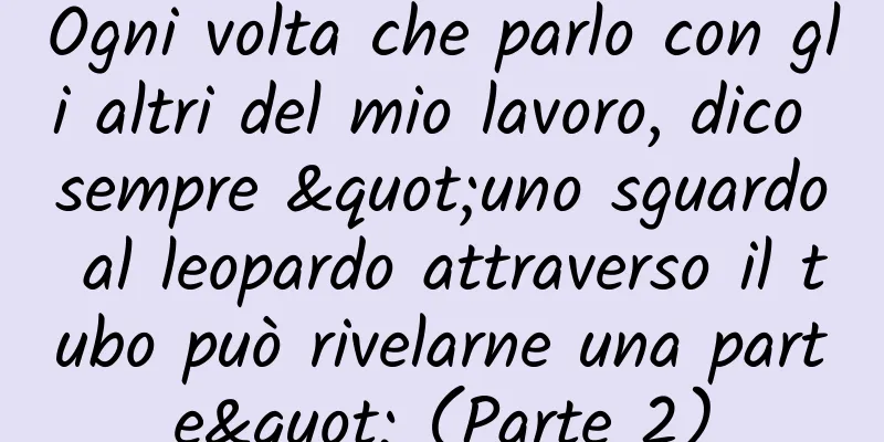 Ogni volta che parlo con gli altri del mio lavoro, dico sempre "uno sguardo al leopardo attraverso il tubo può rivelarne una parte" (Parte 2)