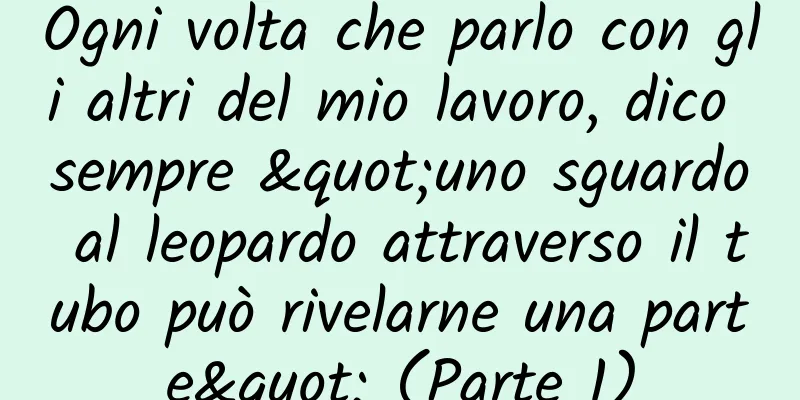 Ogni volta che parlo con gli altri del mio lavoro, dico sempre "uno sguardo al leopardo attraverso il tubo può rivelarne una parte" (Parte 1)