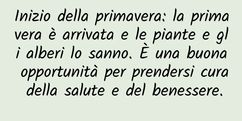 Inizio della primavera: la primavera è arrivata e le piante e gli alberi lo sanno. È una buona opportunità per prendersi cura della salute e del benessere.
