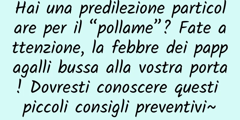 Hai una predilezione particolare per il “pollame”? Fate attenzione, la febbre dei pappagalli bussa alla vostra porta! Dovresti conoscere questi piccoli consigli preventivi~